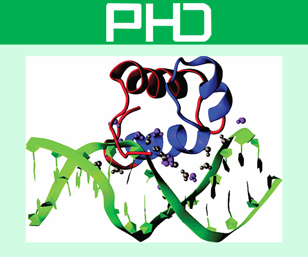 高壓細胞破碎儀應用于重組蛋白表達純化系統
