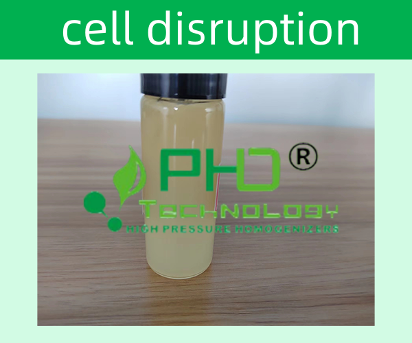 高壓細胞破碎儀的主要系統構造