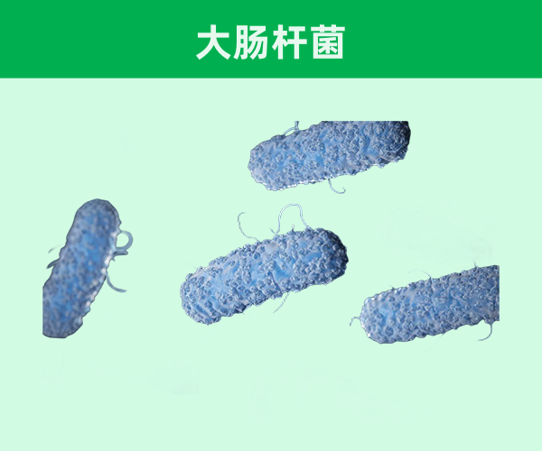 重組人粒細(xì)胞刺激因子（CHO細(xì)胞）